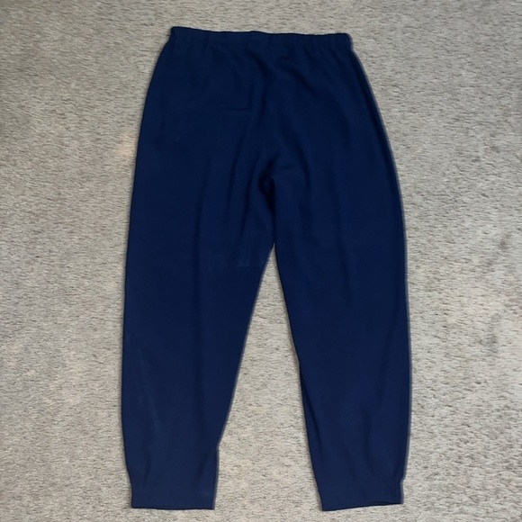 BABATON Aritzia Dexter Tuxedo Jogger Pant Navy Blue Large - Picture 7 of 13